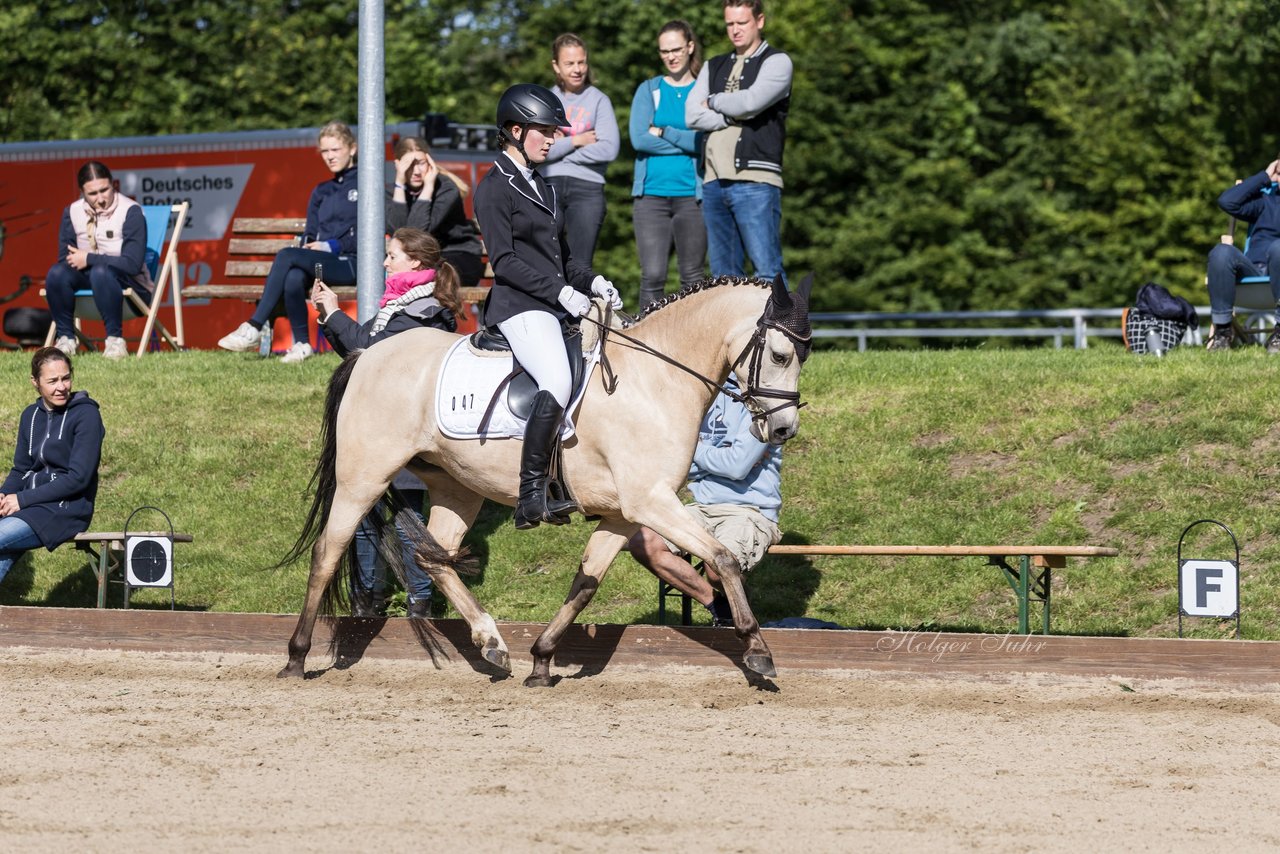 Bild 552 - Pony Akademie Turnier